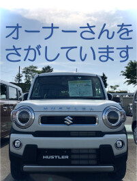＊　店長おすすめ！すぐにお乗りいただけるハスラーあります！　＊
